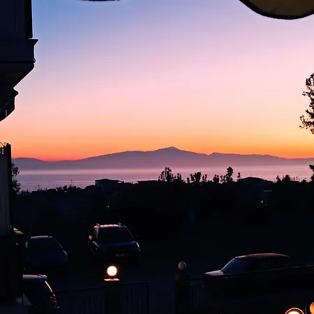 Josuaz Blue 플로지타